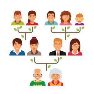 Family genealogy tree diagram chart. Flat style vector illustration isolated on white background.